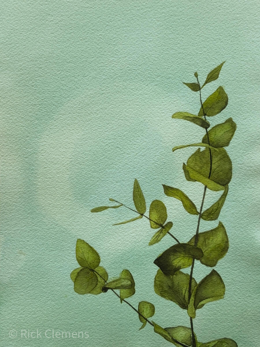 Breathing Space "Breathing Space" – original watercolor painting of eucalyptus branches with rounded green leaves against a soft mint green background, by Rick Clemens